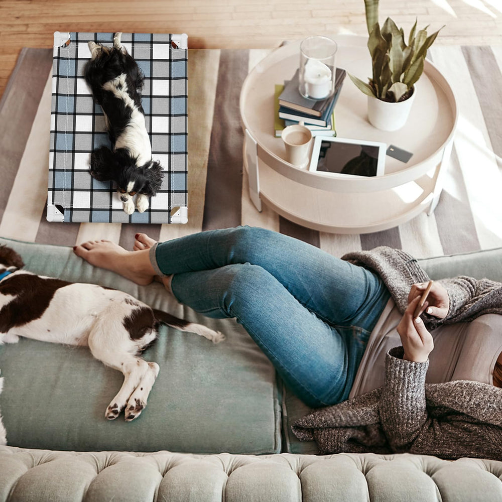 Caghash petit chien sur le lit montre dimensions et adaptabilité