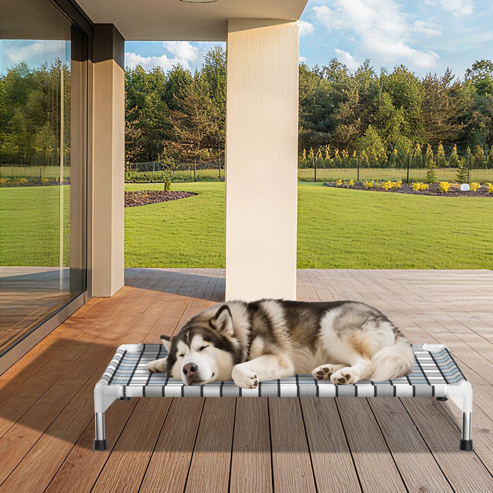 Caghash comparaison taille avec grand chien montrant espace de couchage