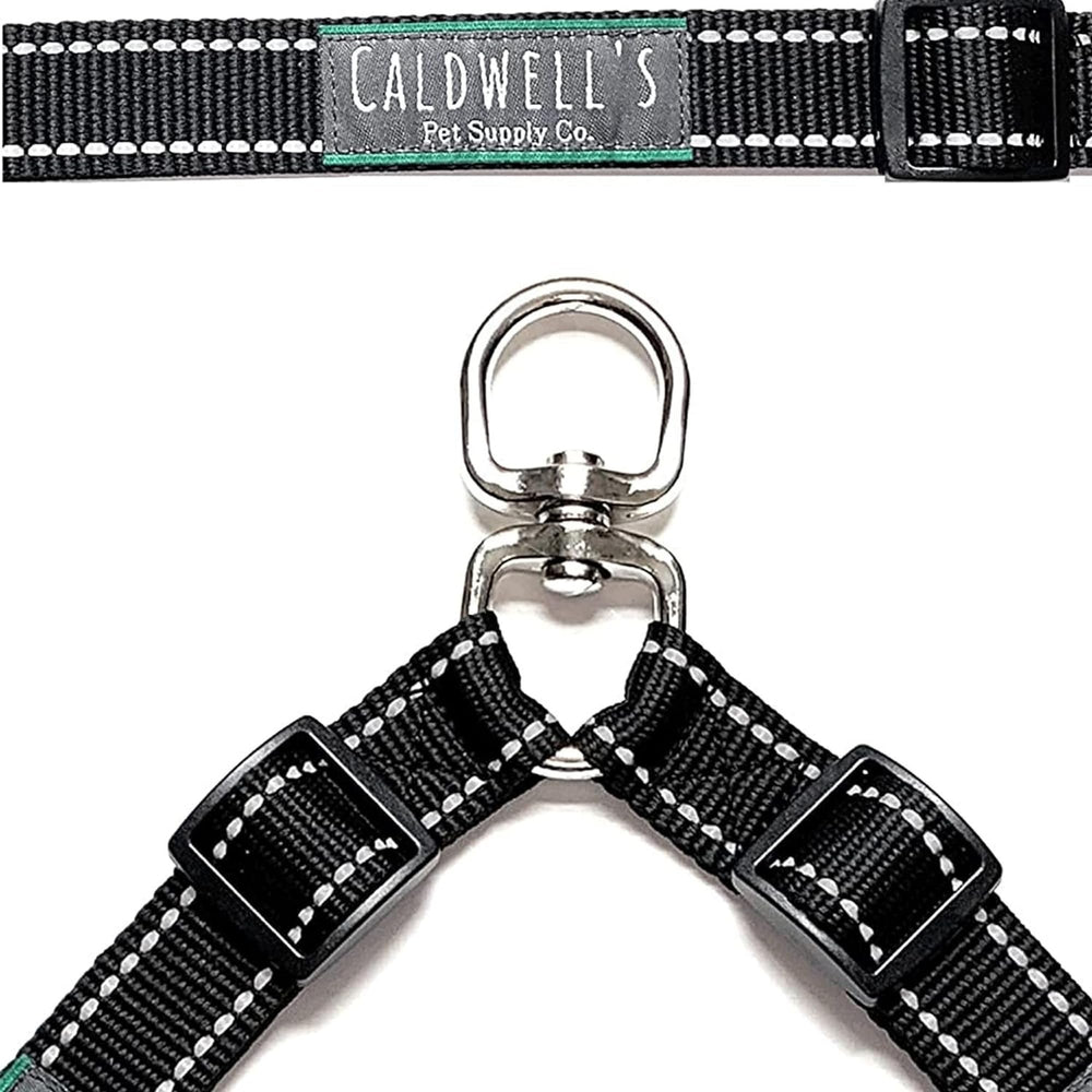 Caldwell's deux chiens promenés simultanément pour contrôle stable et sans enchevêtrement