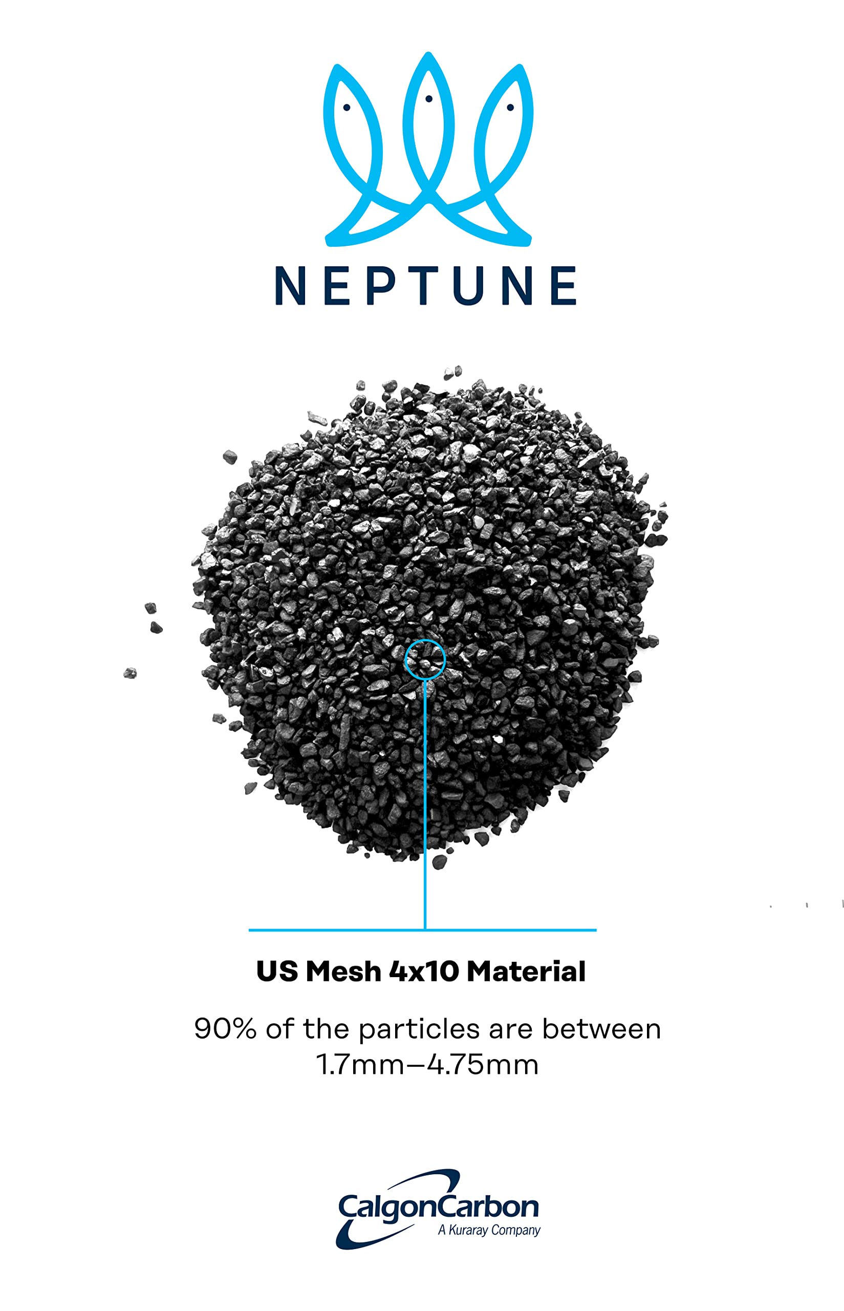 CalgonCarbon Neptune dans panier filtrant illustrant installation facile et efficacité