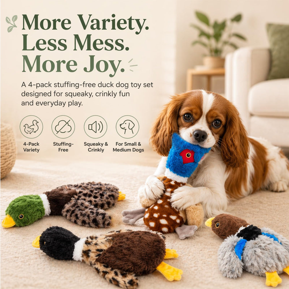 Calibonbon comparaison taille main, évalue convenance pour petits chiens