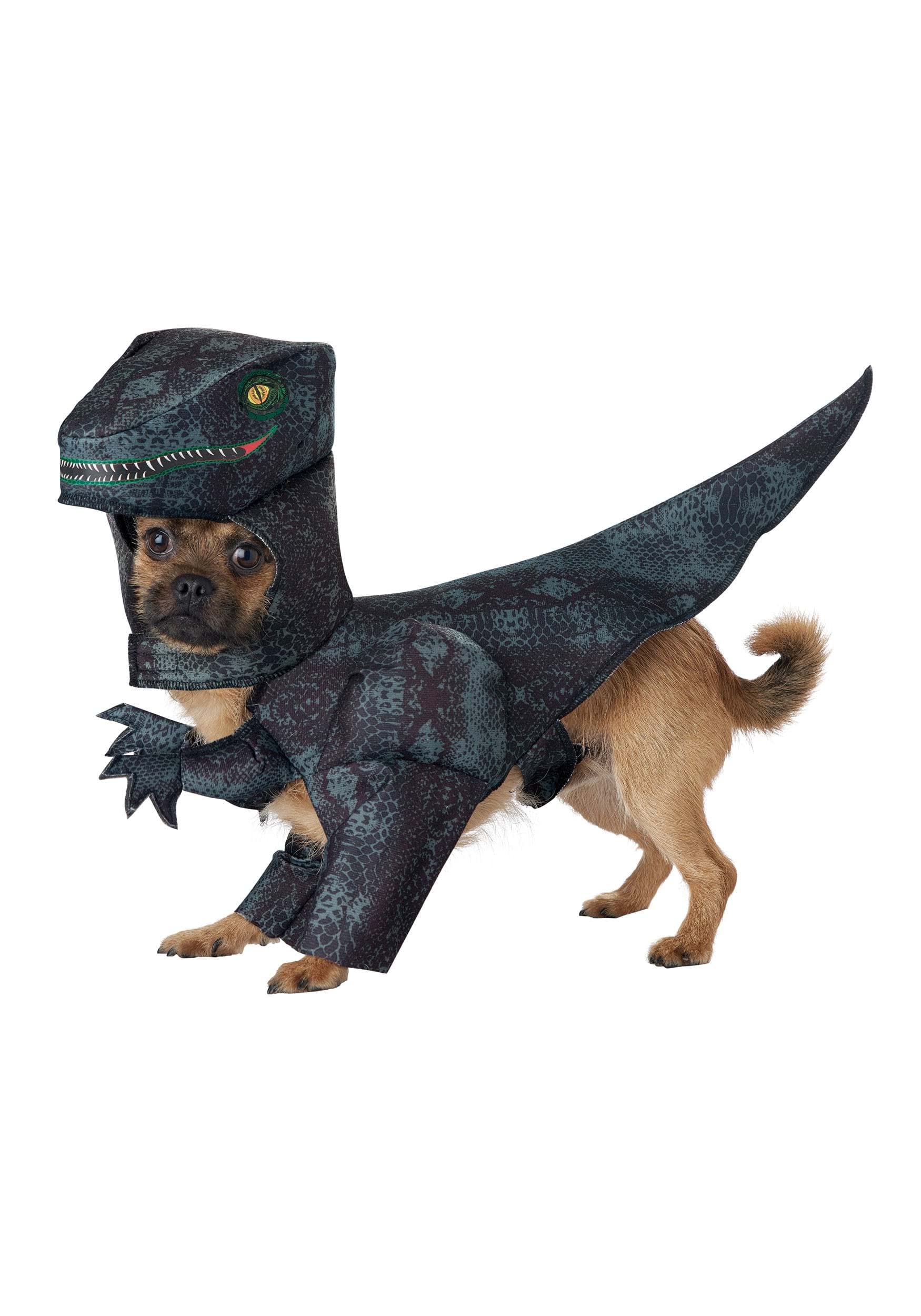 California Costumes visage du raptor en mousse, maintien sûr et aspect réaliste