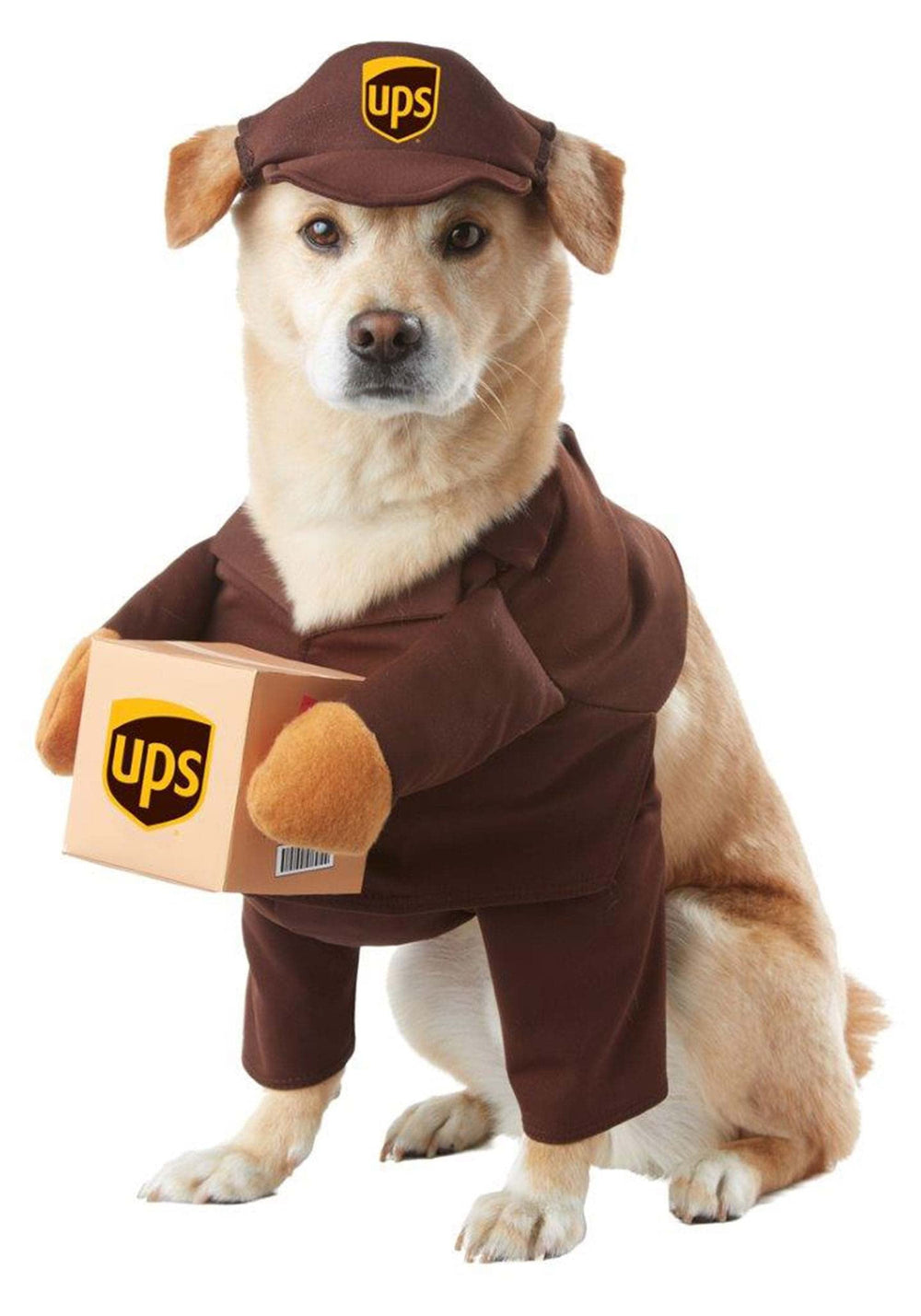 California Costumes UPS Pal vue avant sur chien, aspect réaliste et sécurisé