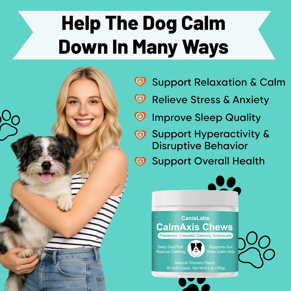 Chien qui mange Calmaxis Chew, marque Calmaxis aidant à calmer lors de voyages
