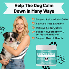 Chien qui mange Calmaxis Chew, marque Calmaxis aidant à calmer lors de voyages
