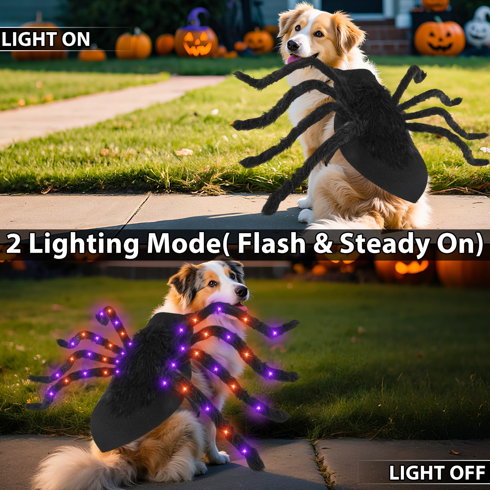 Camlinbo chien portant costume araignée lumière pour sécurité nocturne