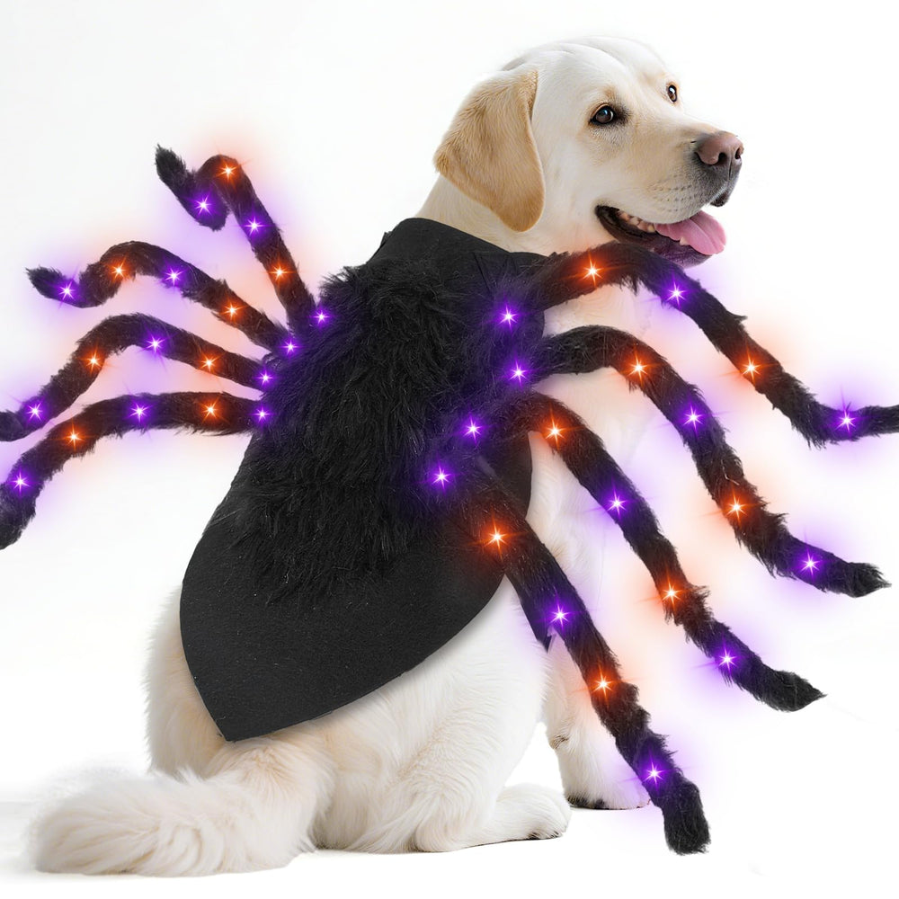 Camlinbo costume araignée face avant montrant effet lumineux visible