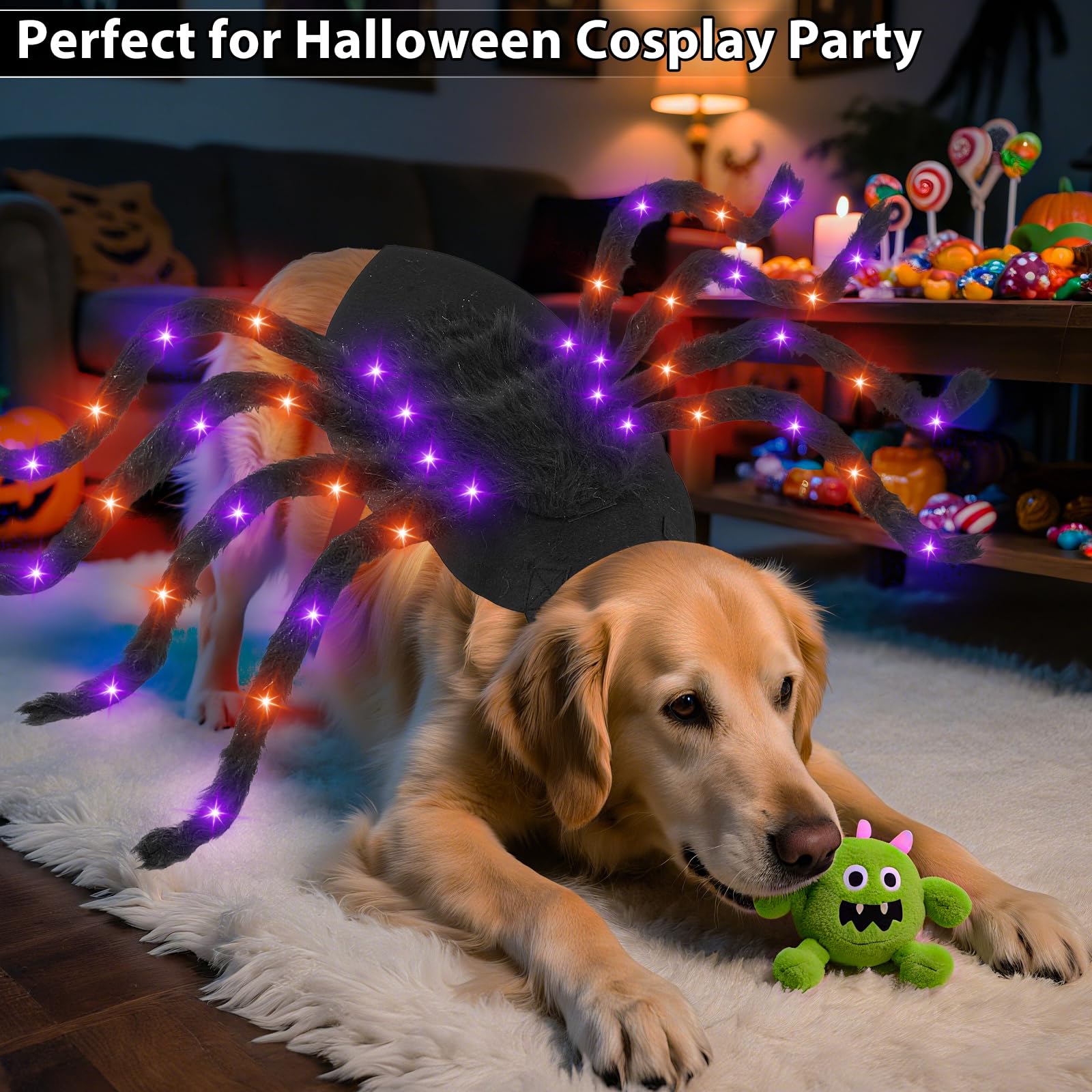 Camlinbo chien en costume araignée lors d'une fête Halloween animée