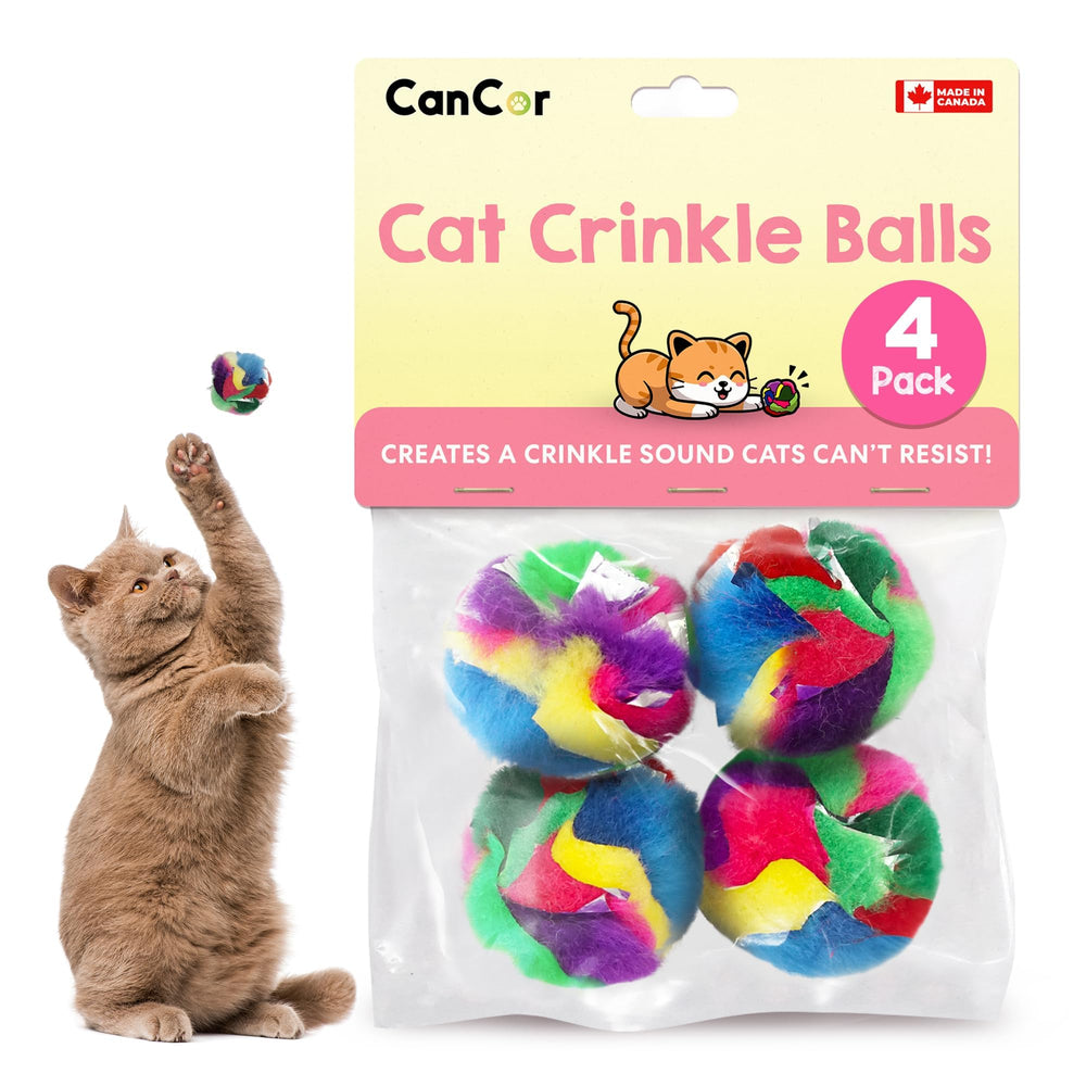 Cancor Innovations balle vue avant du packaging, attire l'attention du chat