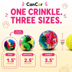 Cancor Innovations balle tenue dans la main, montre la taille idéale pour chaton