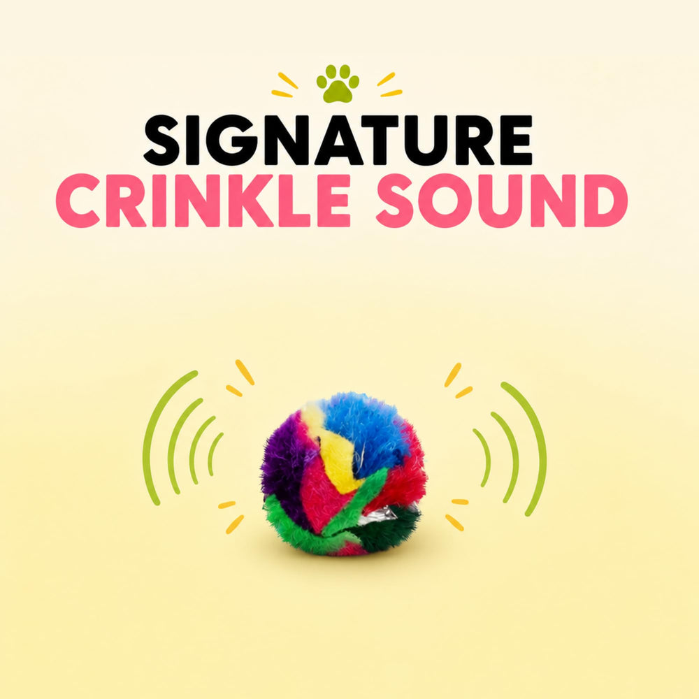 Cancor Innovations gros plan sur la texture crinkle, son attractif