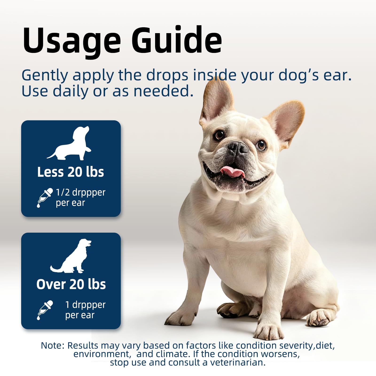 canfitme application sur un chien calme montrant confort et simplicité
