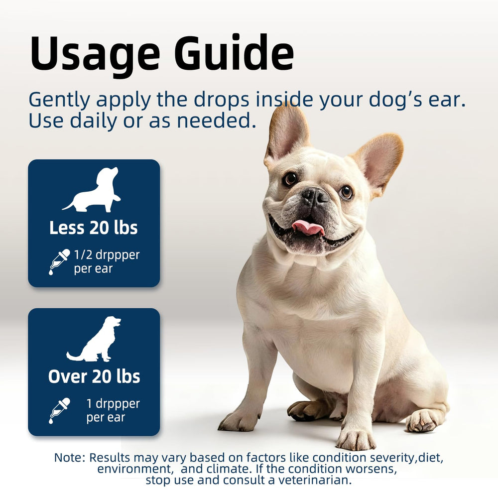canfitme application sur un chien calme montrant confort et simplicité