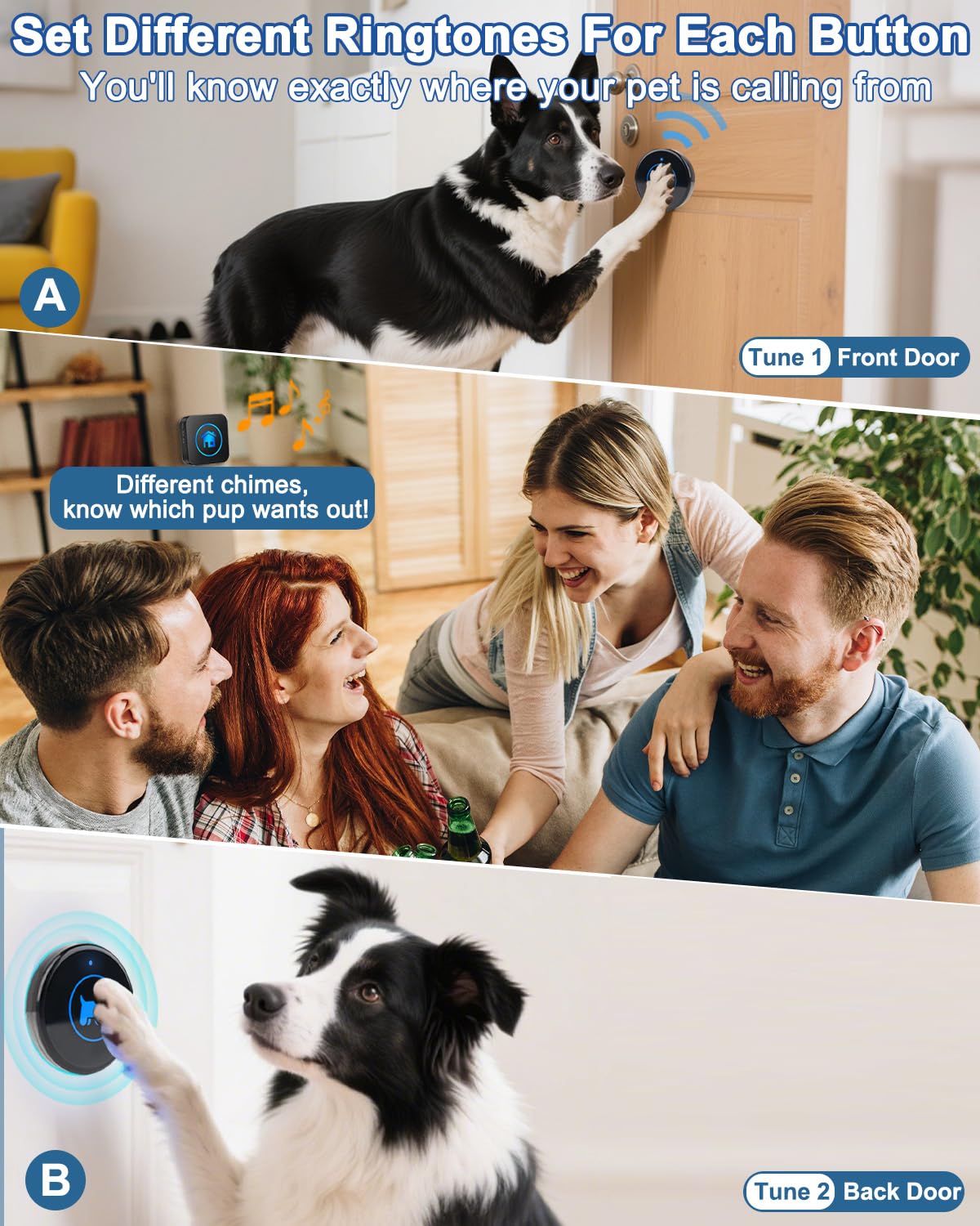 Cangecit utilisation avec chien montrant apprentissage de la propreté