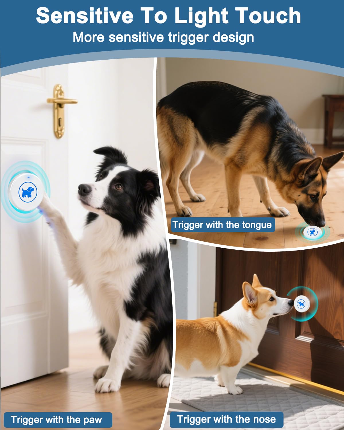 Cangecit chien touchant le bouton, facilite l'apprentissage de la propreté rapidement