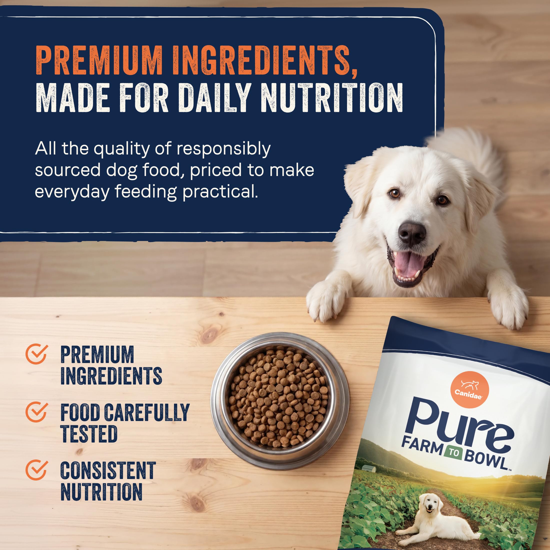 CANIDAE bol plein prêt à servir nutrition complète quotidienne