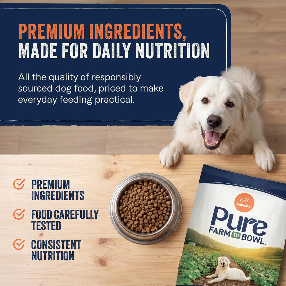 CANIDAE bol plein prêt à servir nutrition complète quotidienne