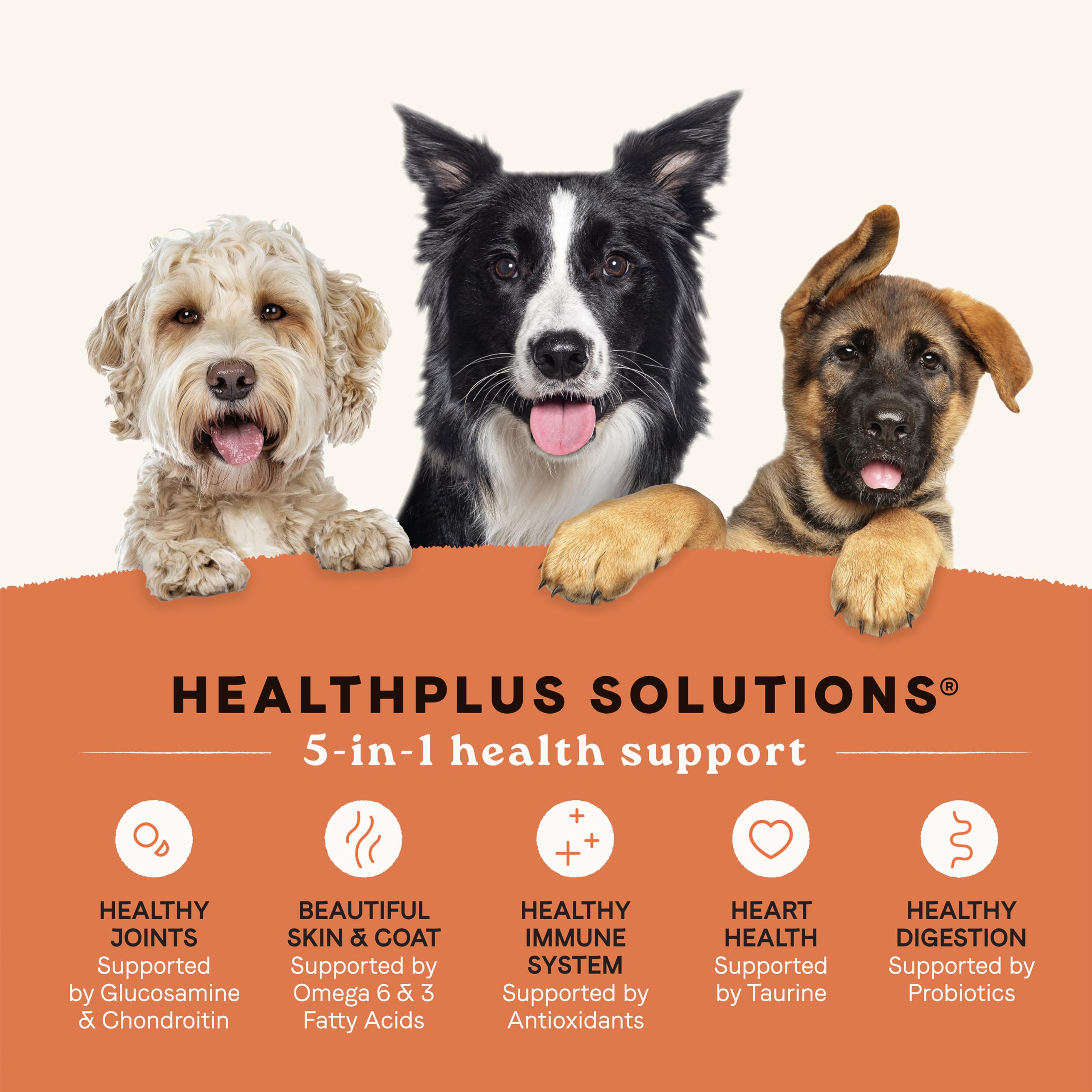 CANIDAE chiot adulte et senior mangeant ensemble, illustrant compatibilité multi-âges