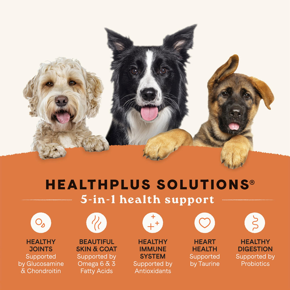 CANIDAE chiot adulte et senior mangeant ensemble, illustrant compatibilité multi-âges