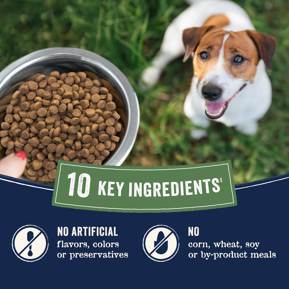 CANIDAE croquettes servies dans un bol montrant portion typique