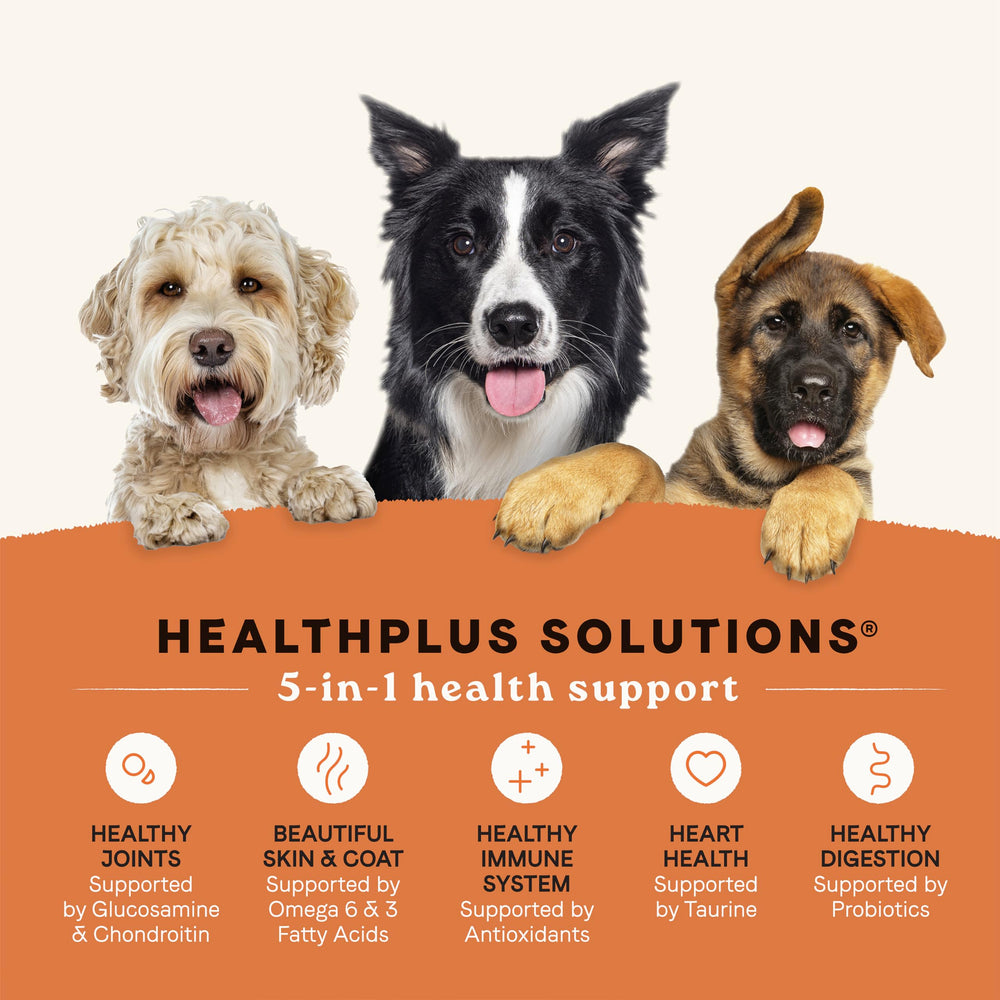 CANIDAE croquettes servies dans un bol pour petit chien facilitant les repas quotidiens