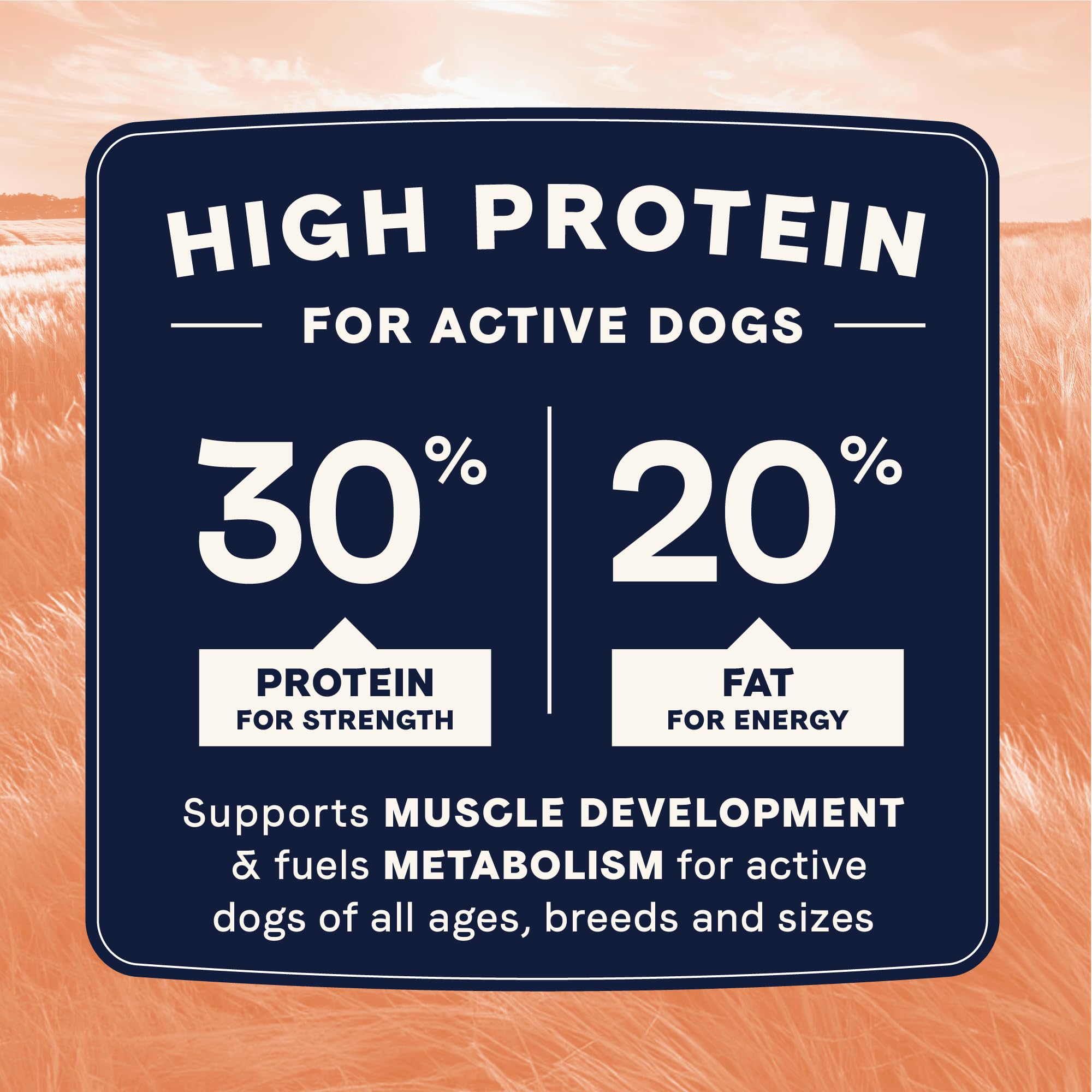 CANIDAE croquettes dans une gamelle nourrissant chiens actifs