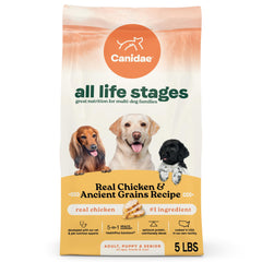 CANIDAE emballage avant Real Chicken montrant formulation tout-âge bénéfice simplicité