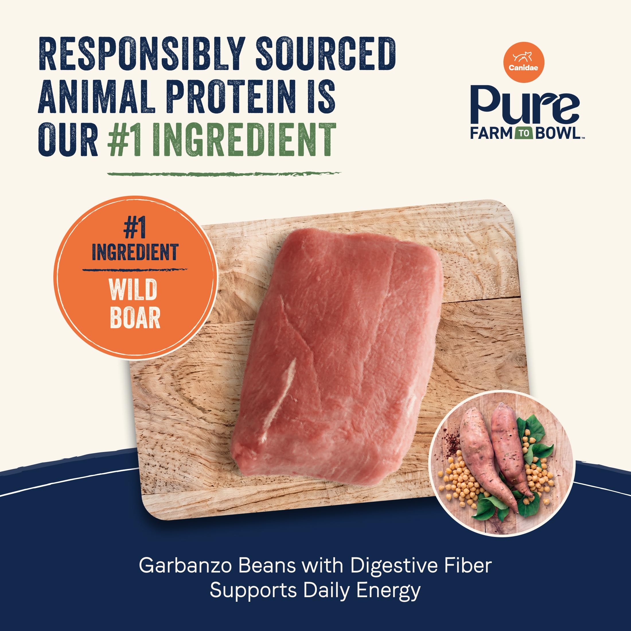 CANIDAE gros plan sur croquettes montrant texture et qualité