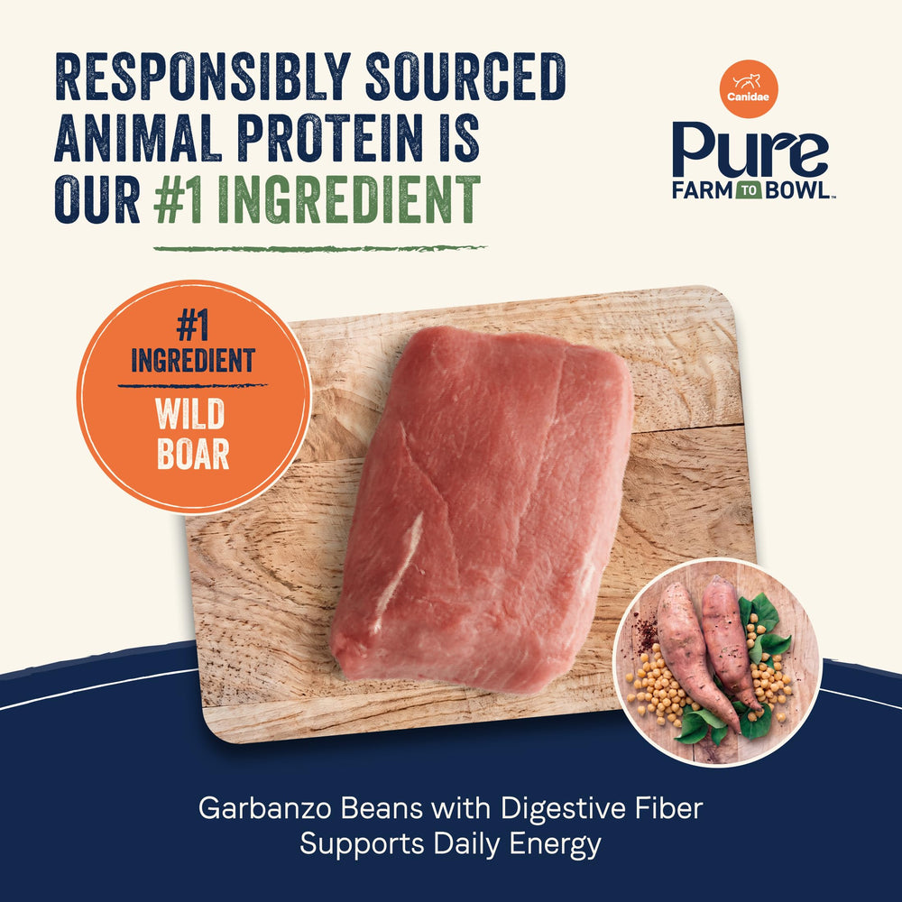 CANIDAE gros plan sur croquettes montrant texture et qualité