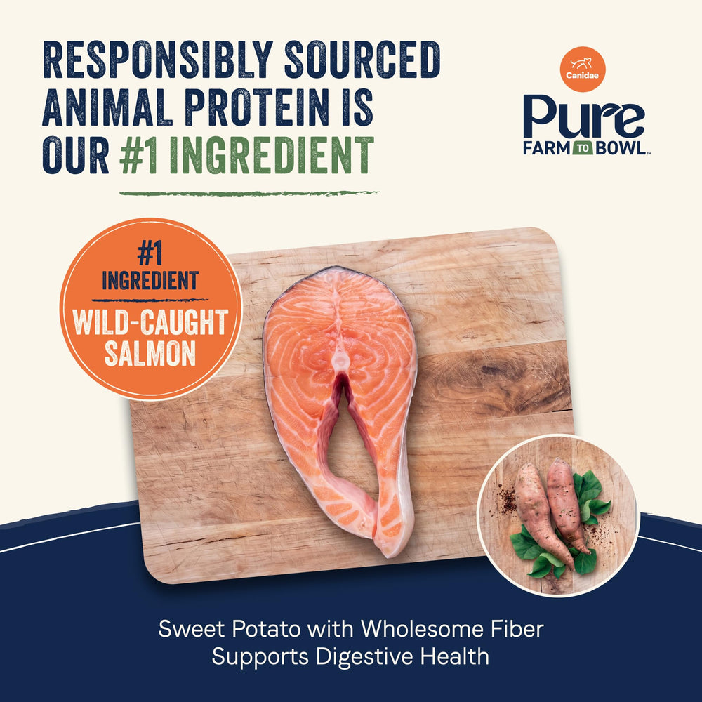 CANIDAE gros plan des croquettes montrant la texture nutritive pour mastication saine