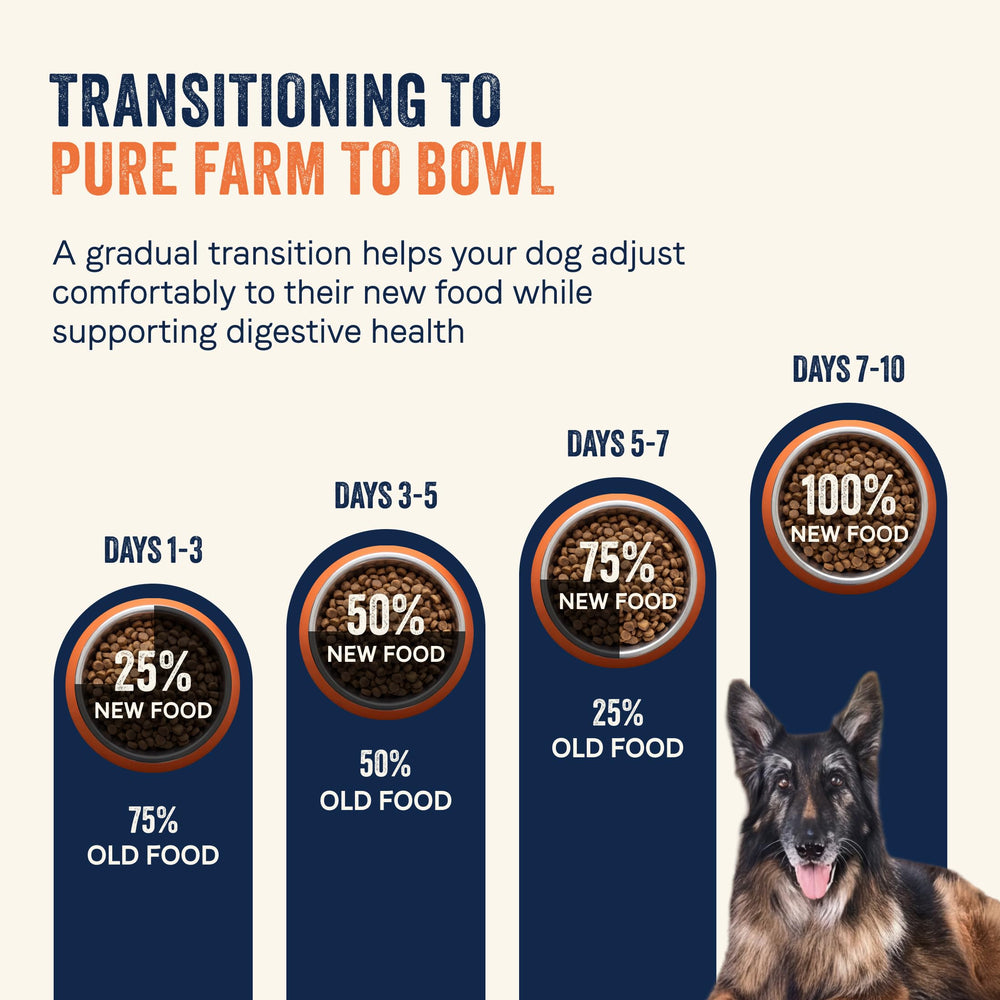 CANIDAE chien senior en intérieur montrant vitalité et bien-être quotidien