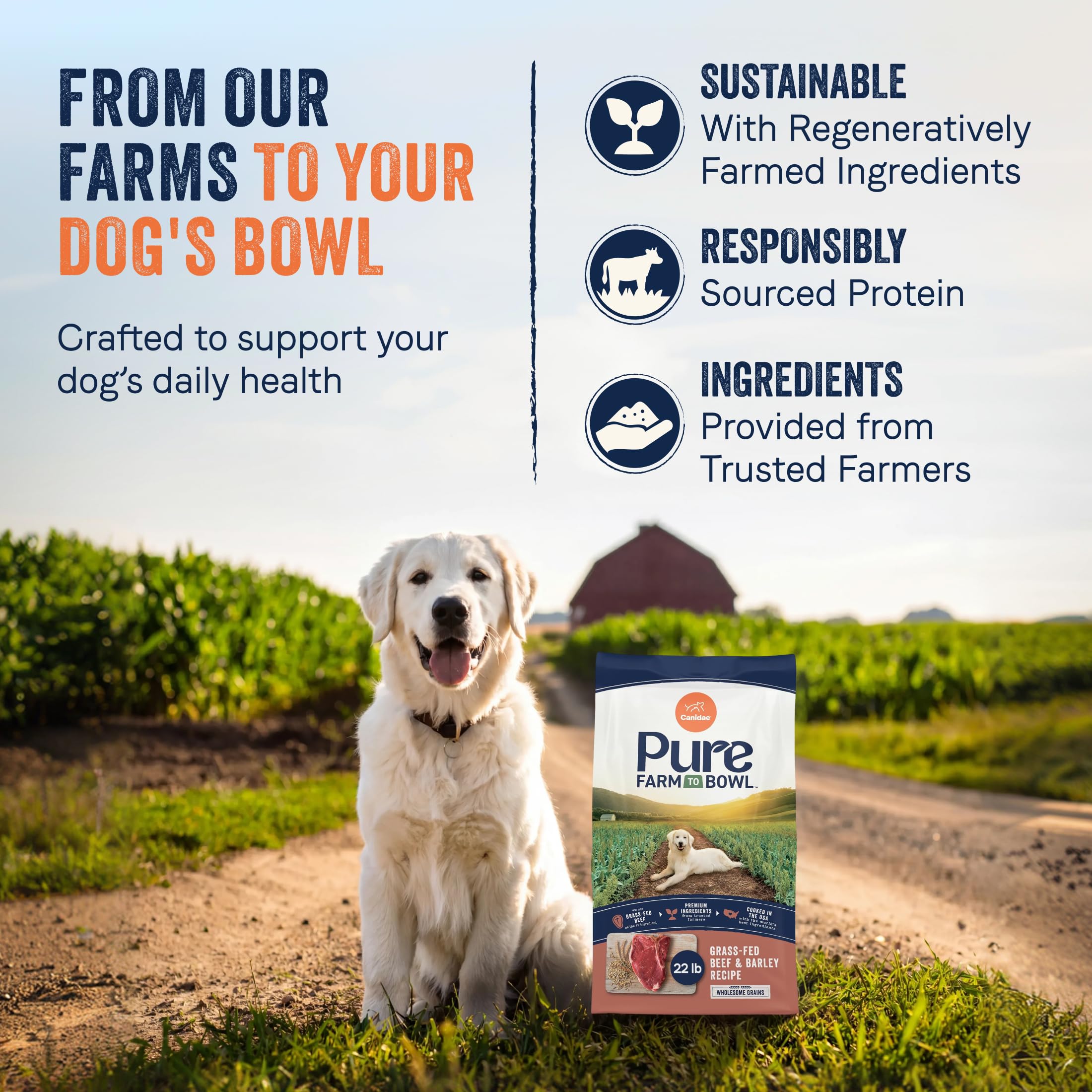 CANIDAE détail de la texture des croquettes pour digestion facilitée