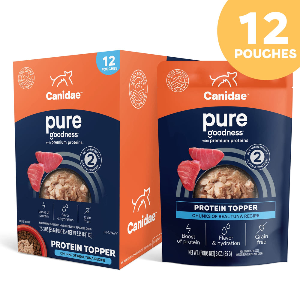 CANIDAE boîte ouverte révélant contenu humide appétent garantissant attractivité