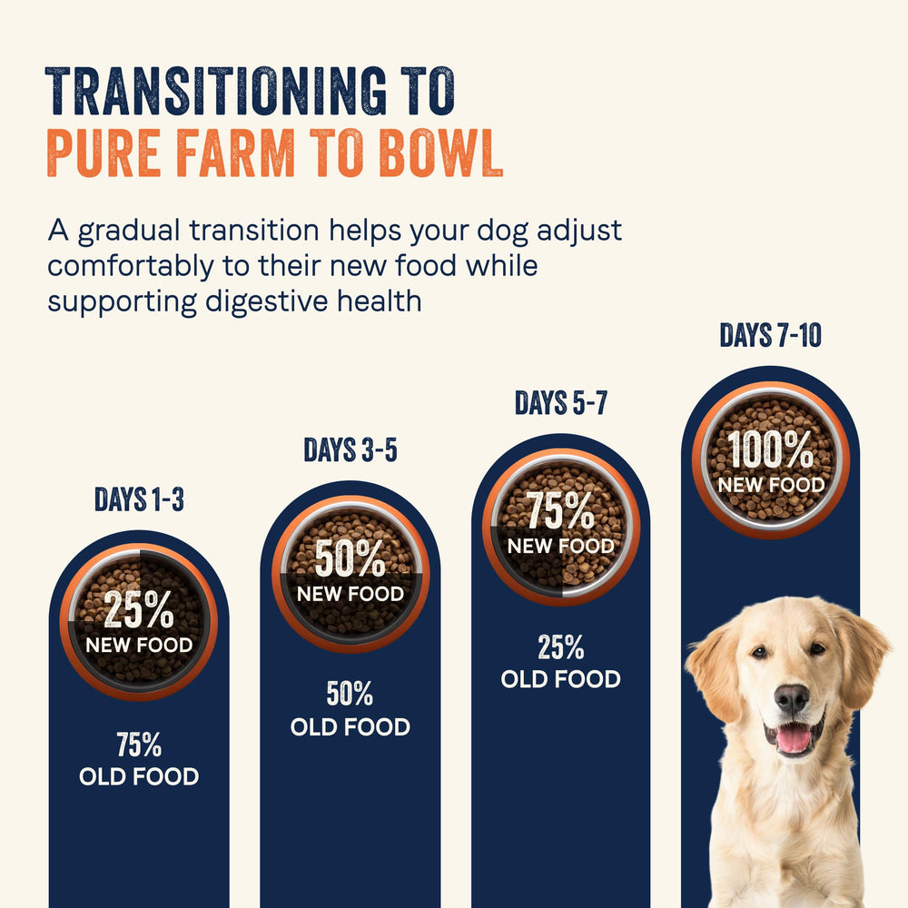 CANIDAE chien actif mangeant illustrant énergie et bien-être général