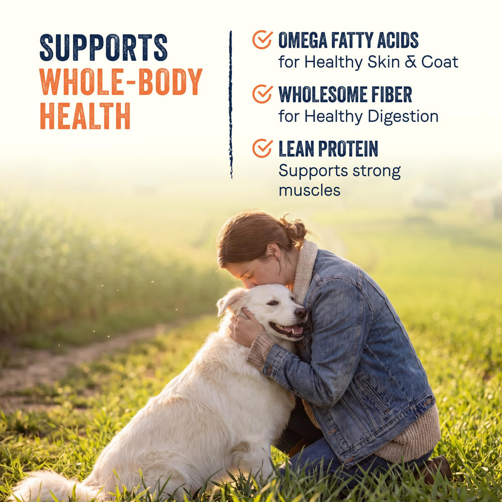 CANIDAE focus viande de sanglier montrant source protéique nutritive