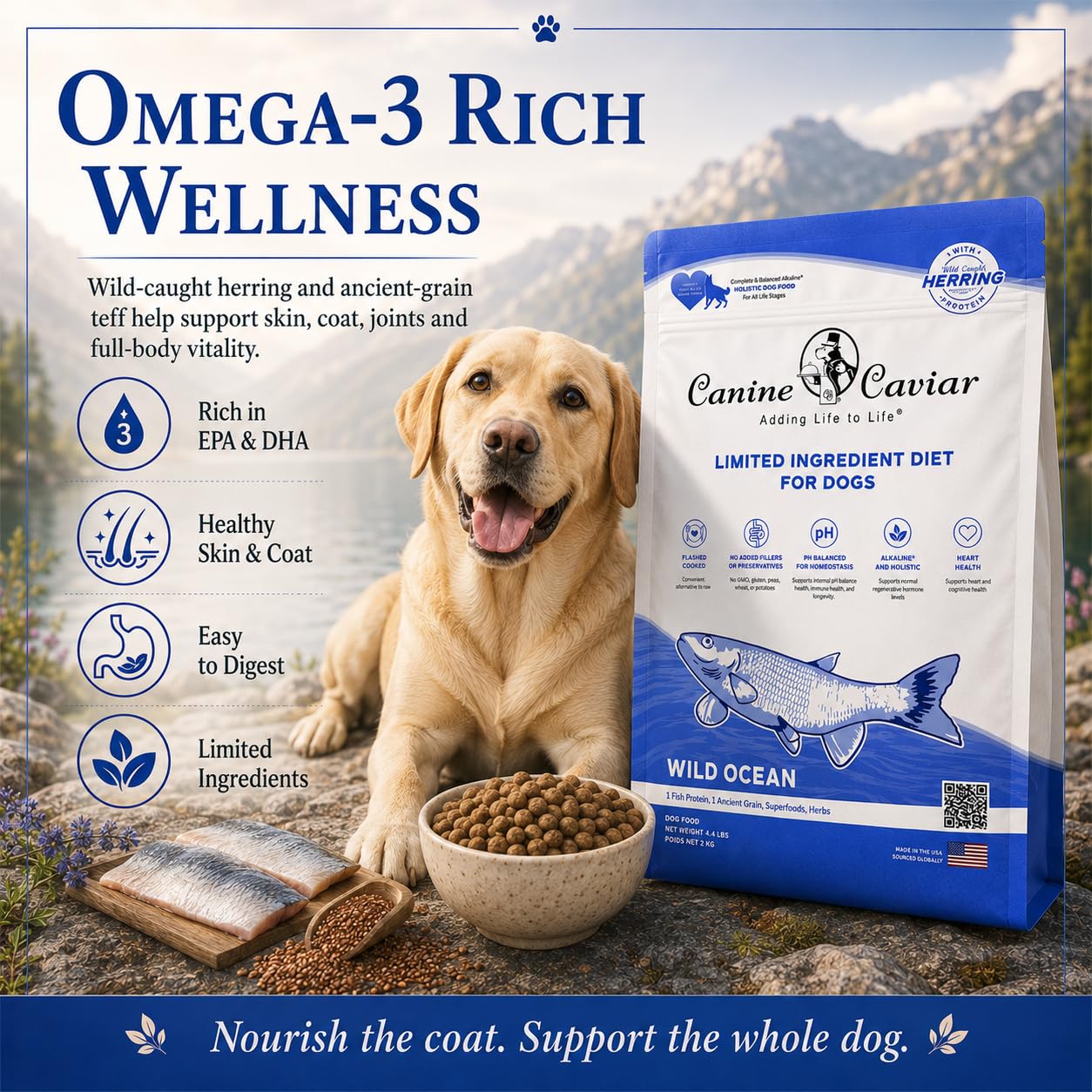 Canine Caviar lifestyle chiot joue, énergie adaptée aux petits chiens