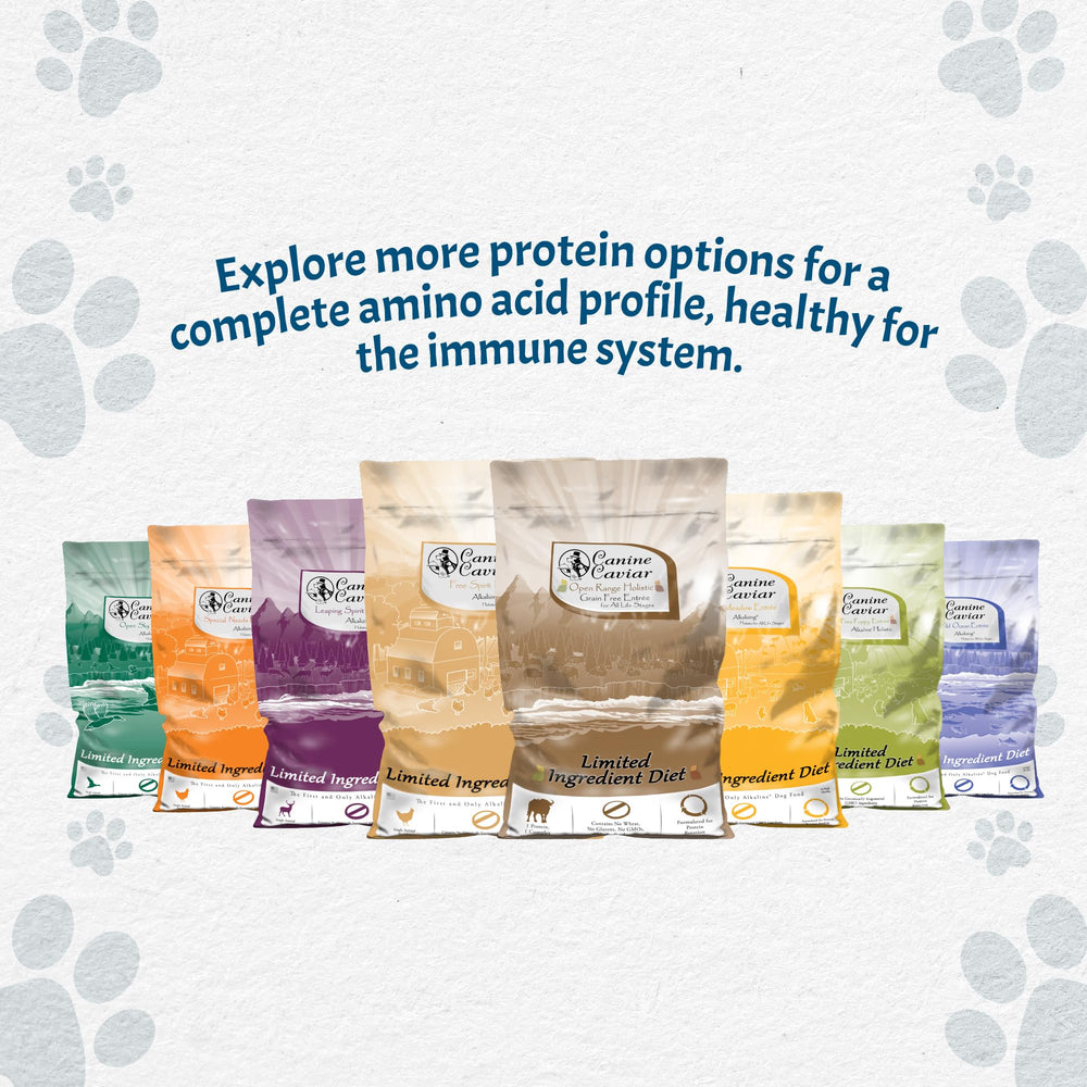 Canine Caviar sac ouvert montrant fraîcheur et conservation facile