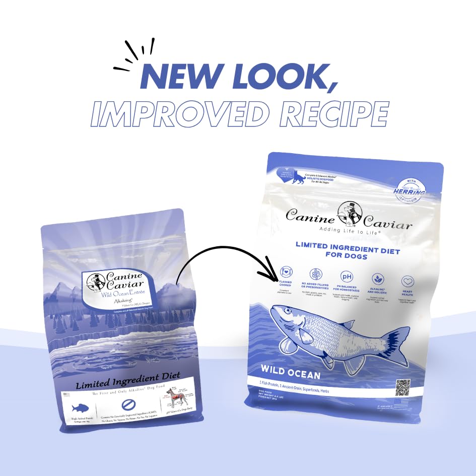 Canine Caviar gros plan sur teff, glucide doux et digestible pour chien