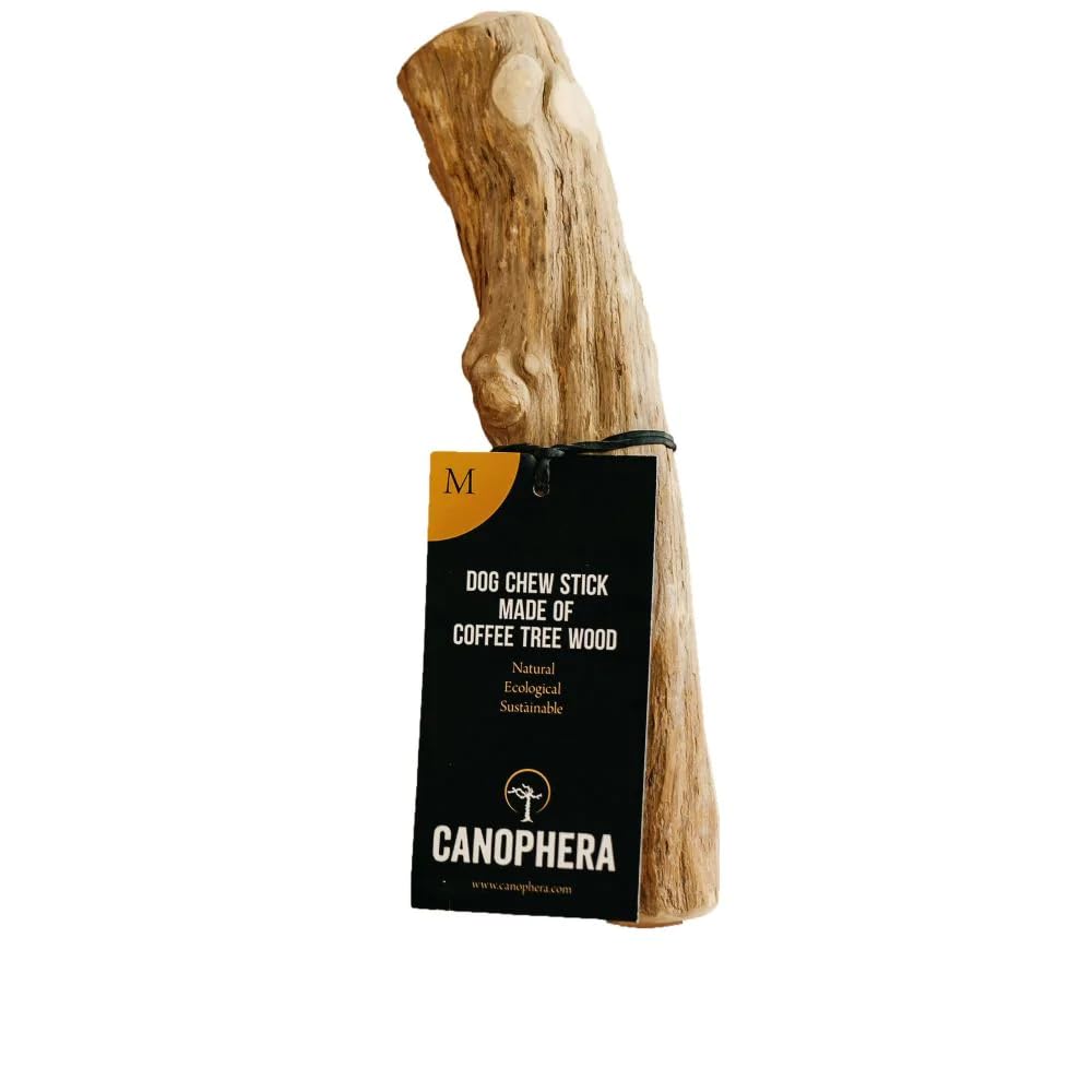 Canophera bâton en bois d'arbre à café emballage frontal montrant durabilité