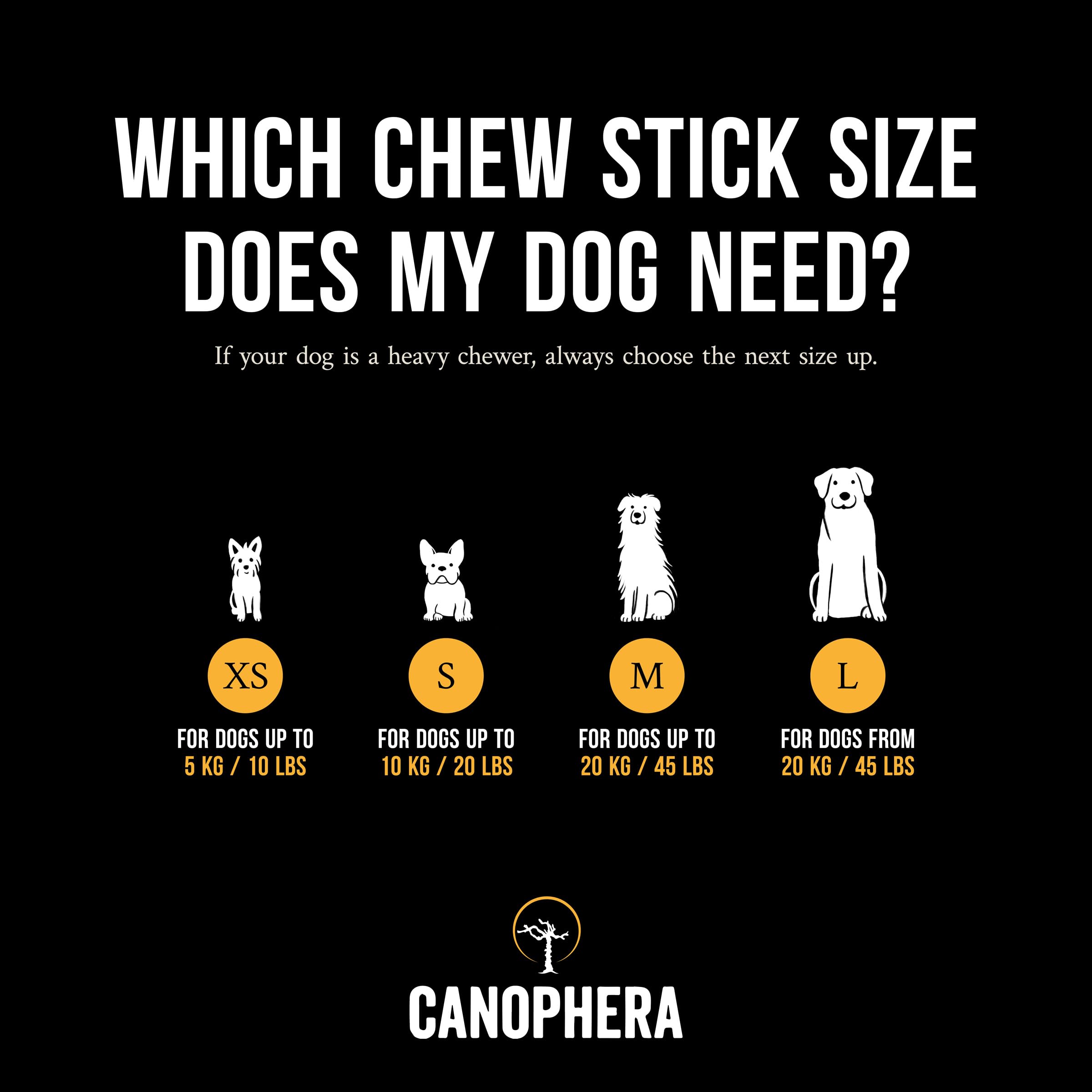 Canophera bâton en usage avec chiot pour calmer et occuper