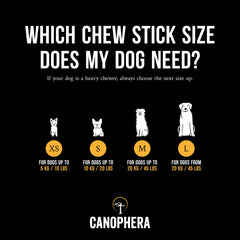 Canophera bâton en usage avec chiot pour calmer et occuper