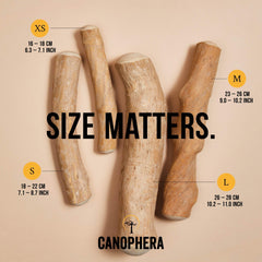 Canophera comparaison taille XS avec main pour repère d'échelle