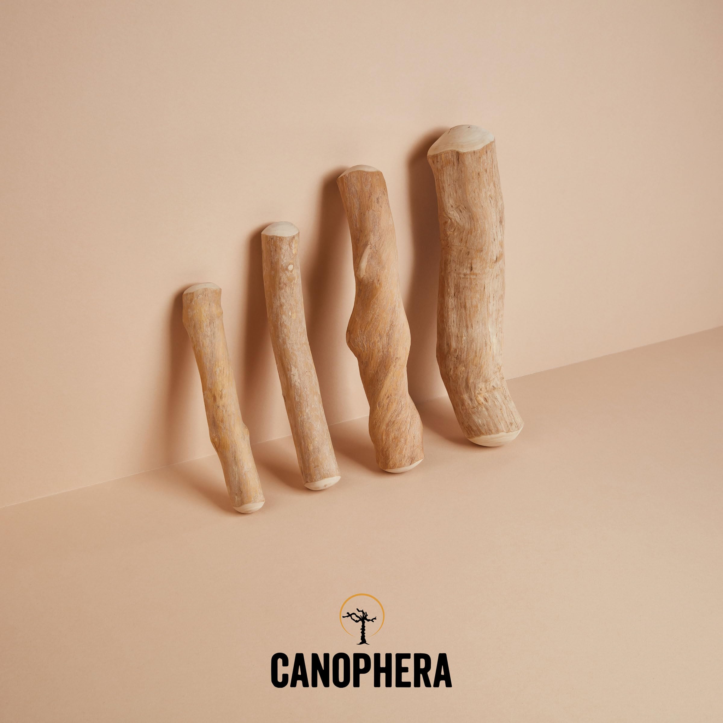 Canophera bâtonnet en situation extérieure, mastication saine et écologique