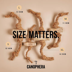 Canophera chien en train de mâcher, activité apaisante et stimulation naturelle