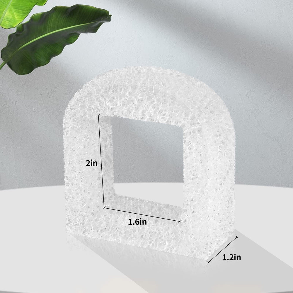 Canova filtre à côté d'une règle affichant dimensions précises utiles