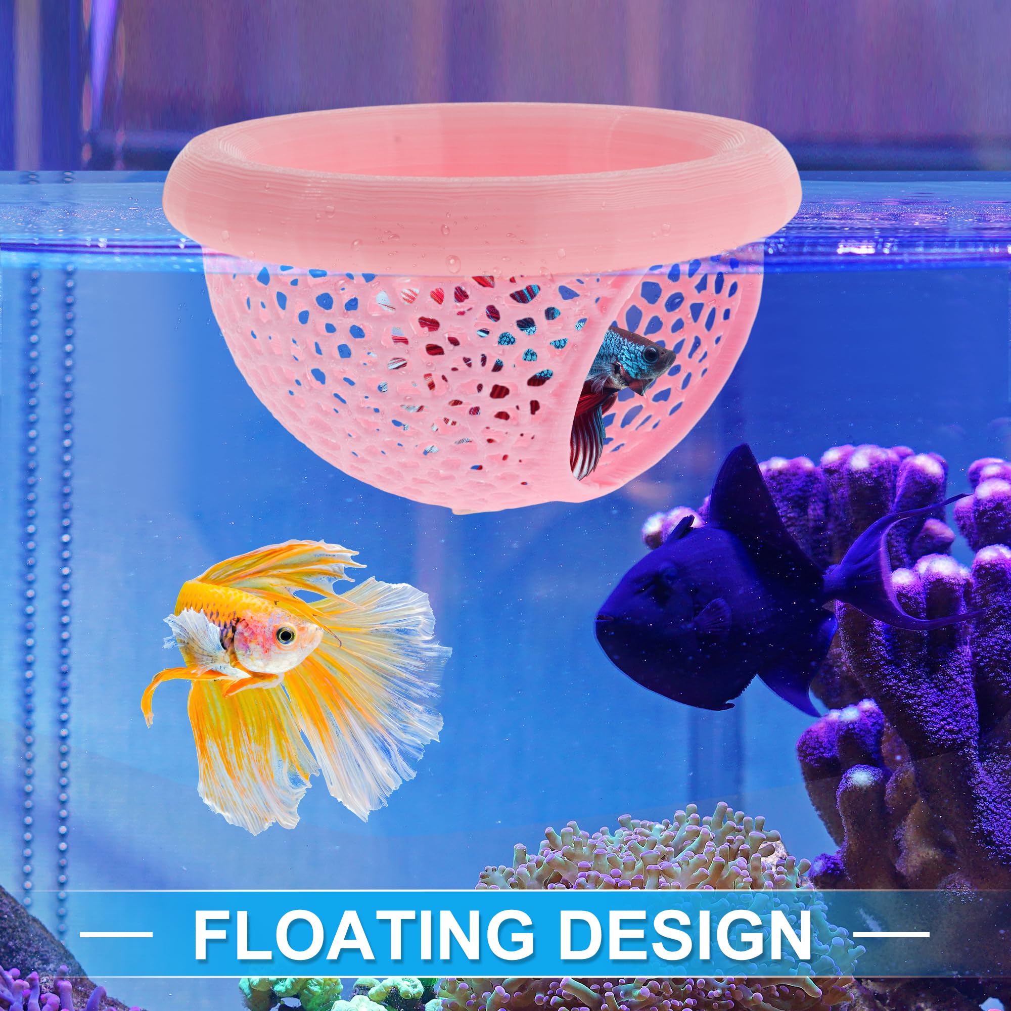 CAPASTEC cachette en usage avec betta, crée refuge et ombrage