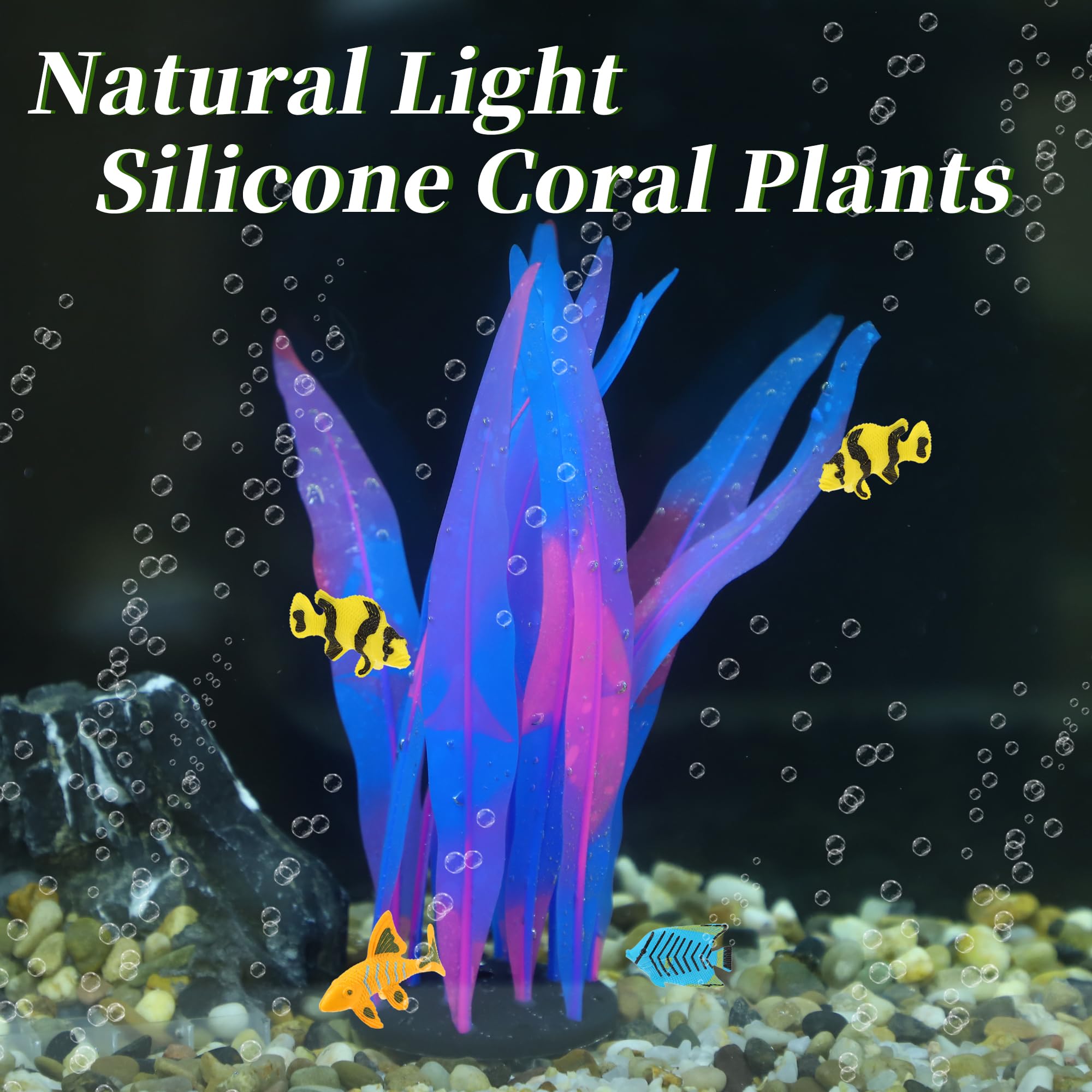 CAPASTEC kelp sous lumière bleue montrant fluorescence décorative