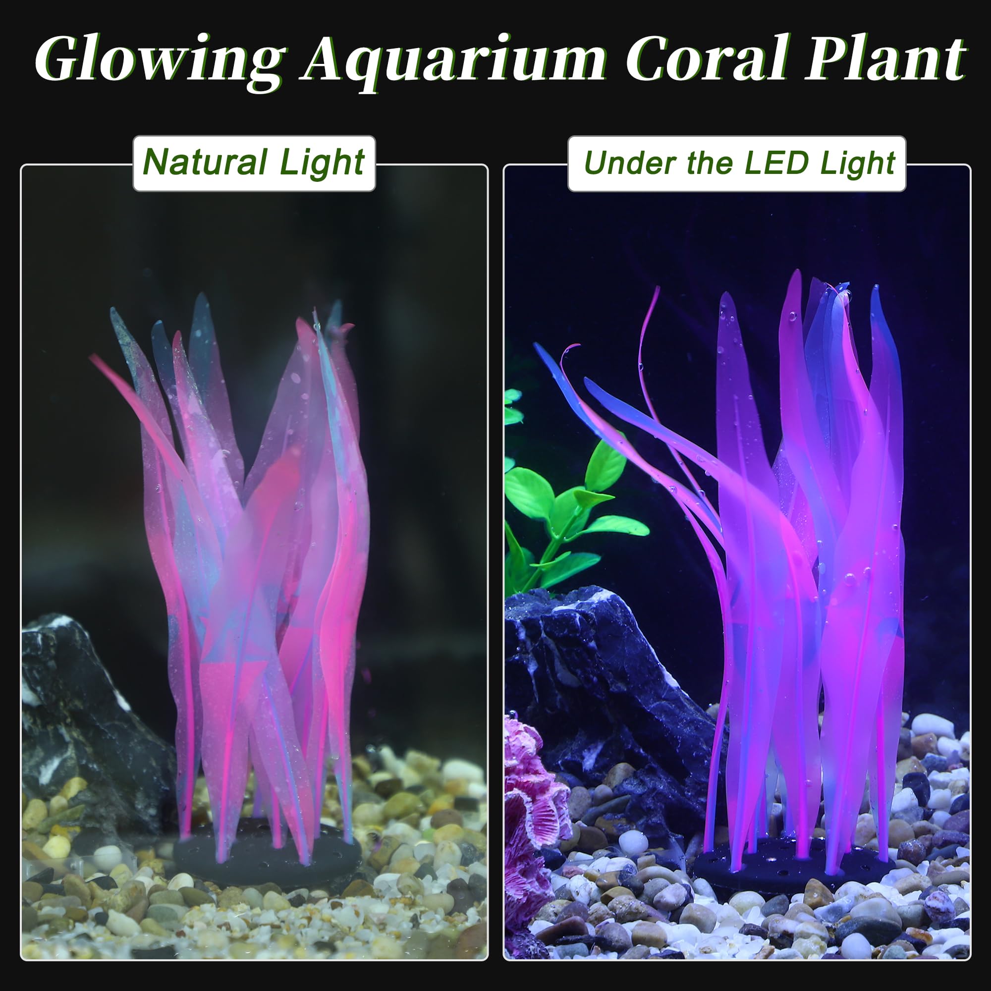 CAPASTEC kelp illuminée par LED bleue rehausse l’ambiance nocturne