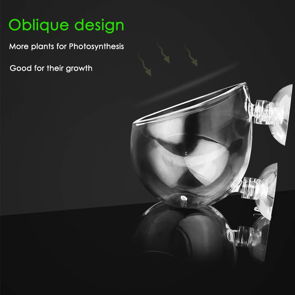 capetsma gros plan trous de fond favorisant circulation d'eau