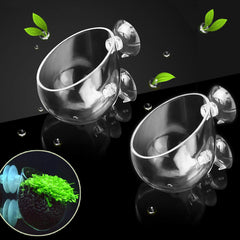 capetsma pot en verre face avant montre clarté et élégance